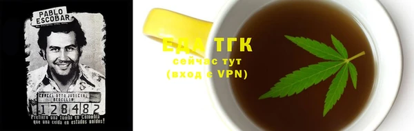 гашик Арсеньев