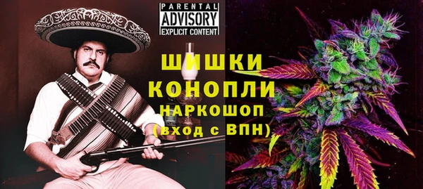 гашик Арсеньев